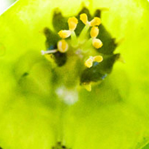 平台担保无忧的网站攻击软件工具